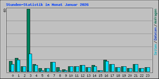 Stunden-Statistik im Monat Januar 2026