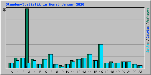 Stunden-Statistik im Monat Januar 2026
