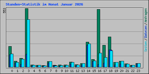 Stunden-Statistik im Monat Januar 2026