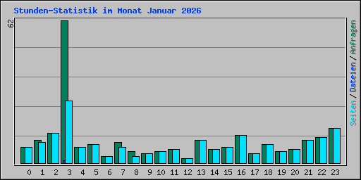 Stunden-Statistik im Monat Januar 2026