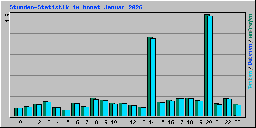 Stunden-Statistik im Monat Januar 2026