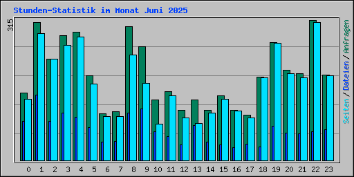 Stunden-Statistik im Monat Juni 2025