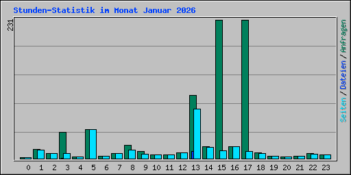 Stunden-Statistik im Monat Januar 2026