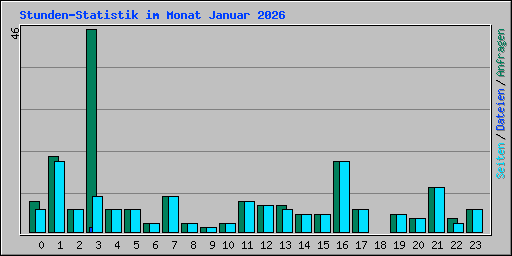 Stunden-Statistik im Monat Januar 2026