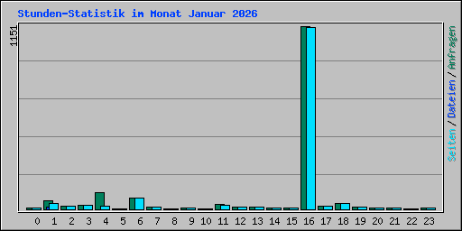 Stunden-Statistik im Monat Januar 2026