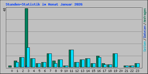 Stunden-Statistik im Monat Januar 2026